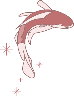 분홍색 물고기2